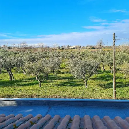 Villa Dimora Felice Vasto